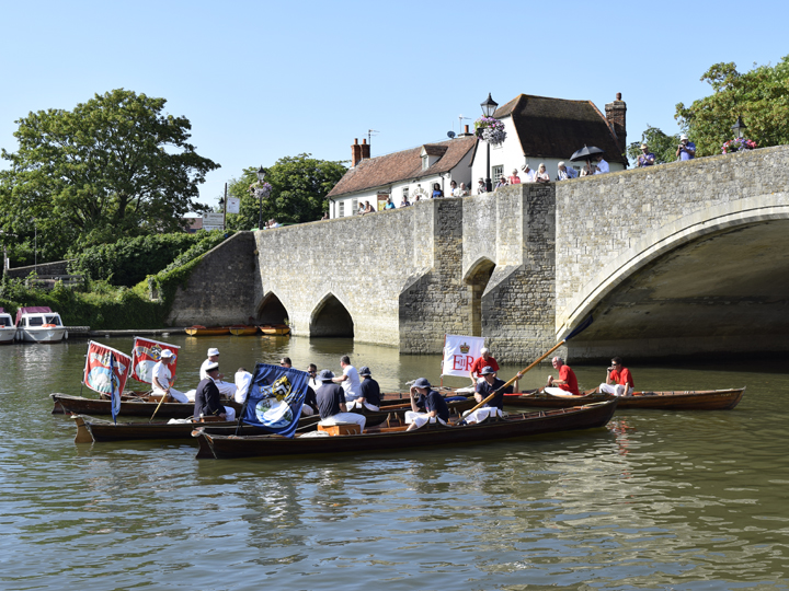 swan upping